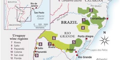 地図のウルグアイのワイン